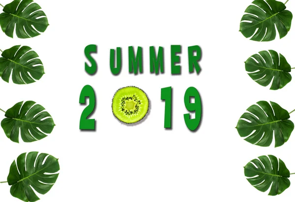 Conceptos de verano 2019 con texto y fruta verde sobre fondo blanco. idea de vacaciones imagen . — Foto de Stock