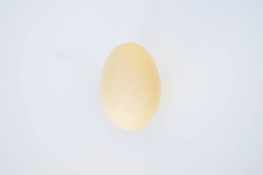 Bakü, Azerbaycan, 10 Mayıs 2018: Ofiste çok sayıda genç iş hanımı çalışıyor.