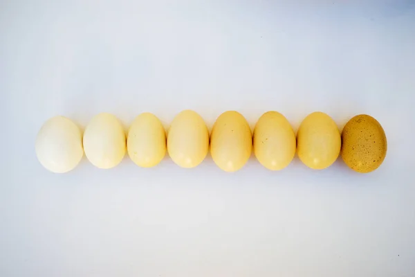 Many chicken eggs on white background. Top view. — Stock Photo, Image