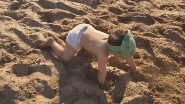 Un niño está jugando en la arena de la playa. Un bebé se arrastra y se ríe estudiando por todas partes . — Vídeo de stock
