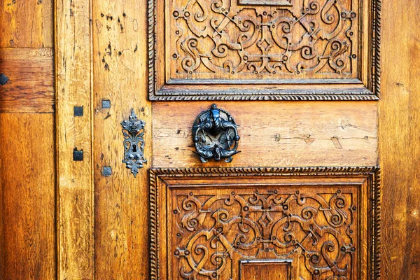 Closed old brown door, gate with iron handles. — 스톡 사진