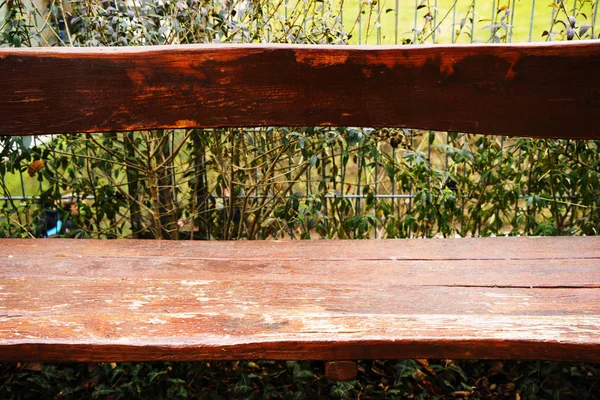 Panchine di legno marrone slitta stare in verde giardino vuoto meravigliosi sfondi perfetti sfondi naturali alberi verdi . — Foto Stock