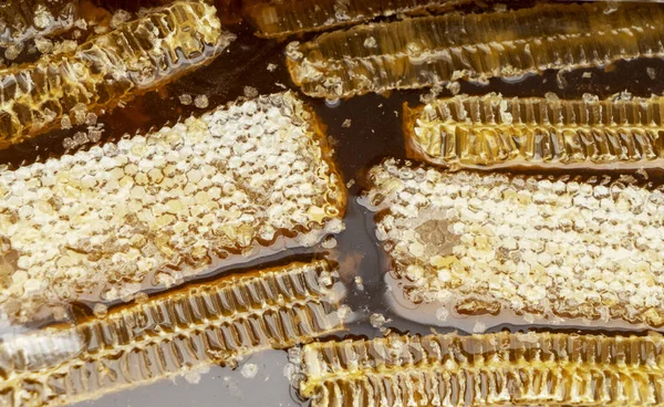 Honingraat, bijenproducten volgens concept van biologische natuurlijke ingrediënten — Stockfoto