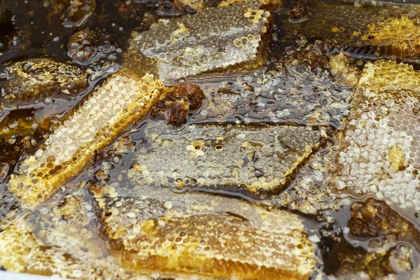 Honingraat, bijenproducten volgens concept van biologische natuurlijke ingrediënten — Stockfoto