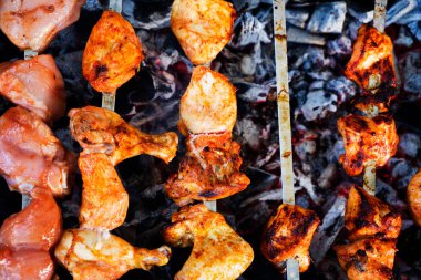 Şiş Kebap seti ya da Kömür Arkaplanında Bitki ve Baharatla Barbekü Şiş Koleksiyonu. Tavuklu tavuk eti, somon balığı, sığır eti ve kuzu eti karışımı..