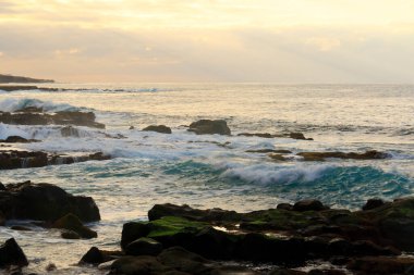 Dalgalar kayalara çarpıyor. Bajamar Tenerife, Kanarya Adası, İspanya.