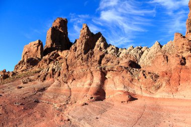 Tenerife Ulusal Parkı, Kanarya Adaları, İspanya.