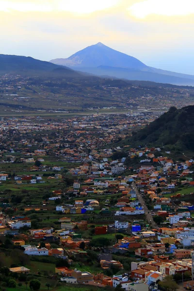 San Cristobal de la Laguna, Tenerife, Kanarya Adası, İspanya 'daki Jarfina' dan..