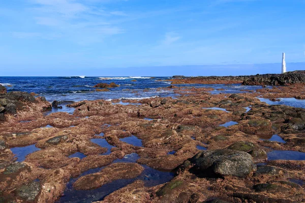 Punta Hidalgo Tenerife Kanári Szigetek Spanyolország — Stock Fotó