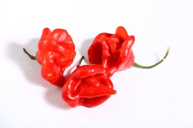 Capsicum baccatum, kırmızı bibergiller familyasından bir bakteri türü.