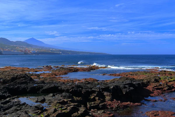 Punta Hidalgo Tenerife Ostrovy Canari Španělsko — Stock fotografie