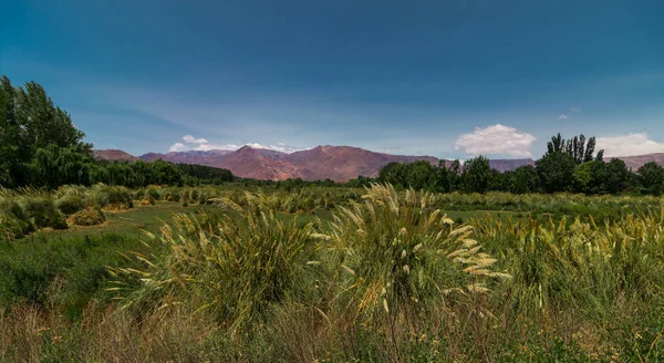 Cordilheira Dos Andes Vista Uspallata Mendoza Argentina — Fotografia de Stock