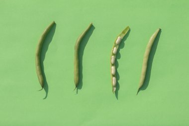 Fasulye arkaplanda yeşil bir arka planda.