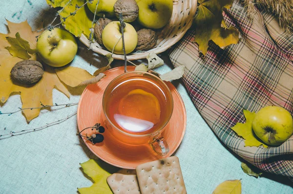 Ένα Φλιτζάνι Τσάι Λεμόνι Μήλα Του Φθινοπώρου — Φωτογραφία Αρχείου