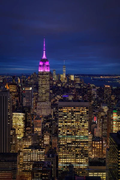 Uitzicht Manhattan Skyline New York Stad Rechtenvrije Stockfoto's