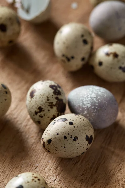Top Flatview Quail Eggs Eggshels Natural Morning Light Old Wooden — Stock Photo, Image