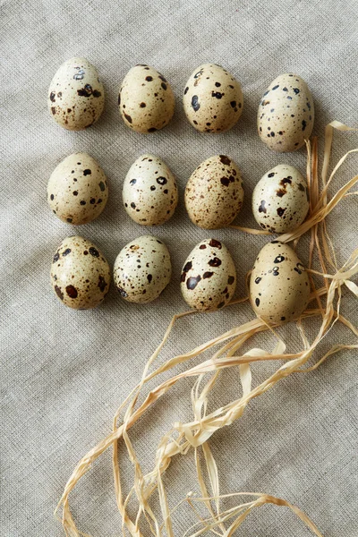 Top Close View Some Rows Quail Eggs Linen Fablic Background — Stock Photo, Image