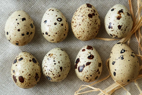 Top Flatview Weergave Van Sommige Rijen Met Kwarteleitjes Linnen Fablic — Stockfoto