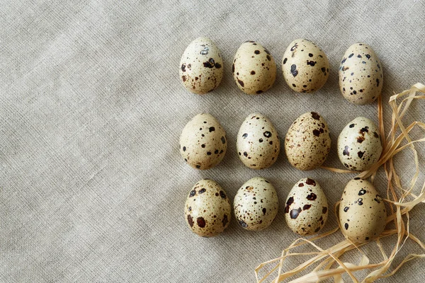 Top Flatview View Some Rows Quail Eggs Linen Fablic Background — Stock Photo, Image