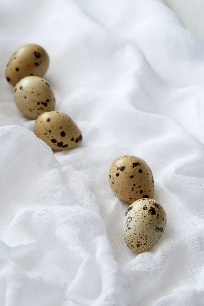 Top Flatview Alguns Ovos Codorna Fundo Tecido Branco Conceito Nutrições — Fotografia de Stock