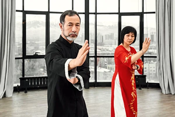 Un par de maestros mayores practicando qi qong taijiquan —  Fotos de Stock