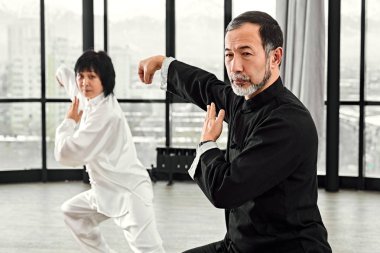 Üst düzey ustaların çift Qi Qong Taijiquan pratik