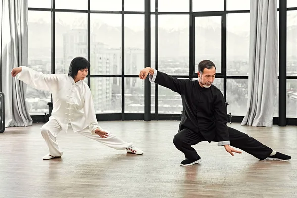 Un par de maestros mayores practicando qi qong taijiquan —  Fotos de Stock