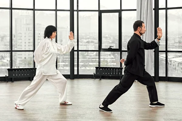 Un par de maestros mayores practicando qi qong taijiquan — Foto de Stock