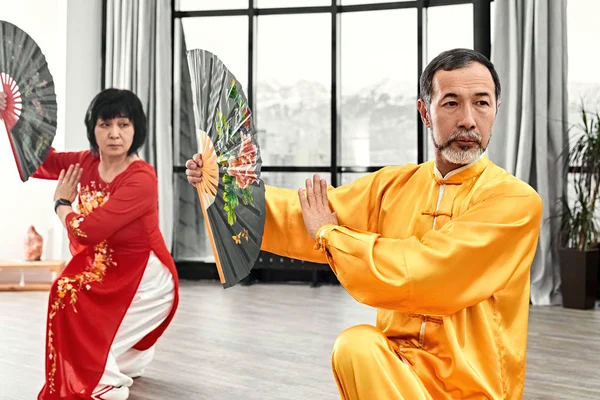 Un par de maestros mayores practicando qi qong taijiquan —  Fotos de Stock