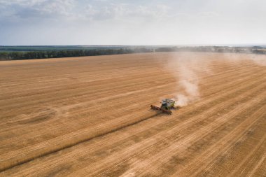 Buğday hasadının havadan görünüşü. Buğday tarlasında çalışan hasat makinesini birleştirin. Tarım sektörü, tarım, makineler, toprak gübreleme, organik bitki koruması. Arkaplan kopyalama alanı