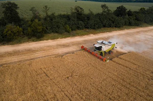 Buğday Hasadının Havadan Görünüşü Buğday Tarlasında Çalışan Hasat Makinesini Birleştirin — Stok fotoğraf