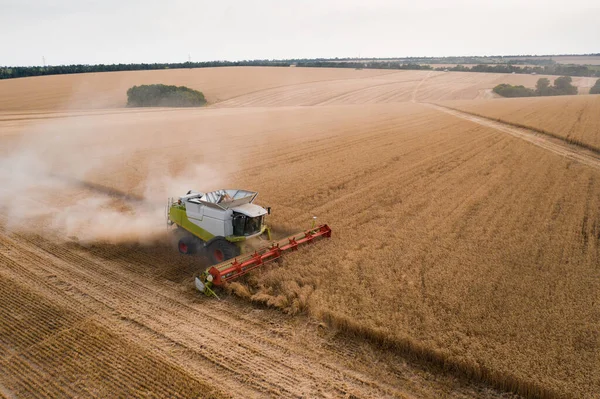 Buğday Hasadının Havadan Görünüşü Buğday Tarlasında Çalışan Hasat Makinesini Birleştirin — Stok fotoğraf