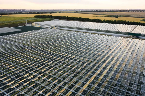 Aerial Top View Greenhouse Plant Agronomy Year Climate Control Yield — Stock Photo, Image