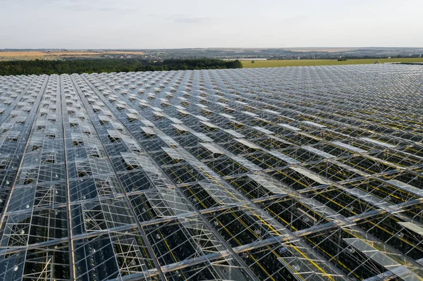 Aerial Top View Greenhouse Plant Agronomy Year Climate Control Yield — Stock Photo, Image