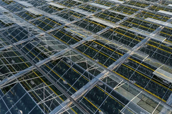 Aerial Top View Greenhouse Plant Agronomy Year Climate Control Yield — Stock Photo, Image