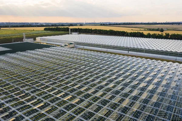 Aerial Top View Greenhouse Plant Agronomy Year Climate Control Yield — Stock Photo, Image