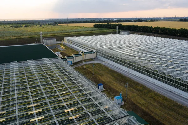 Aerial top view of venlo or dutch greenhouse plant — Stock Photo, Image