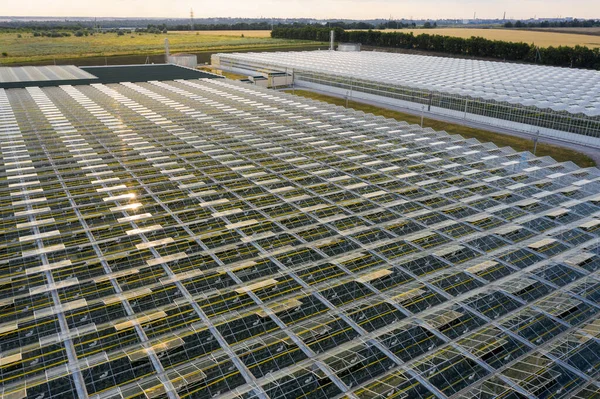 Aerial top view of venlo or dutch greenhouse plant — Stock Photo, Image