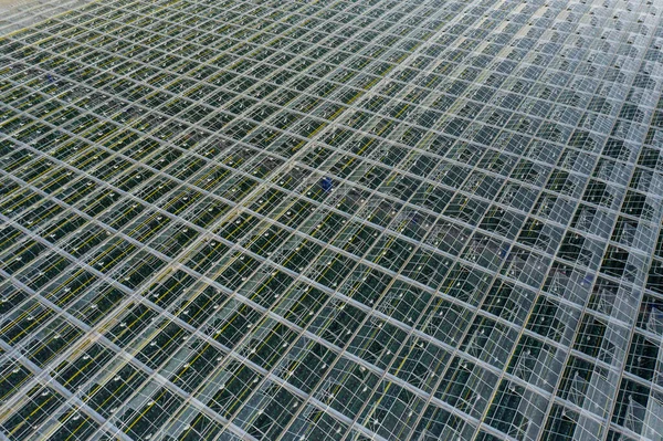 Aerial top view of venlo or dutch greenhouse plant