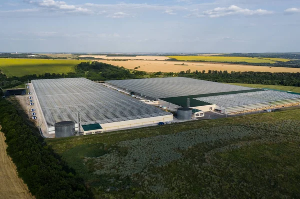 Aerial top view of venlo or dutch greenhouse plant Royalty Free Stock Images