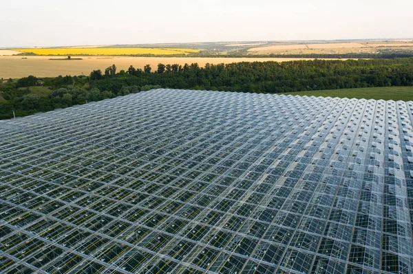 Aerial top view of venlo or dutch greenhouse plant Stock Picture