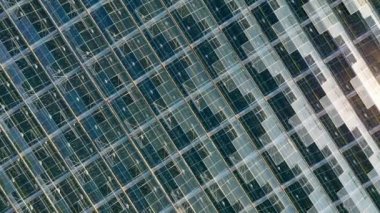 Venlo veya Hollanda sera bitkisinin gökyüzü görüntüsü