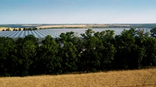 Luftfoto af venlo eller hollandsk drivhus plante – Stock-video