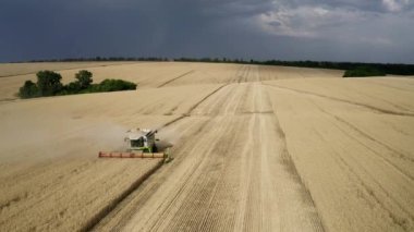 Buğday tarlasında çalışan hasat makinesinin havadan görünüşü