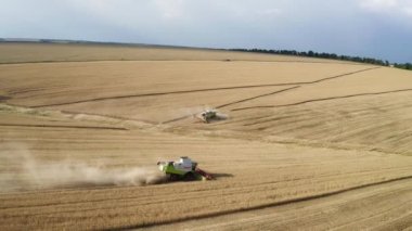 Buğday tarlasında çalışan hasat makinesinin havadan görünüşü