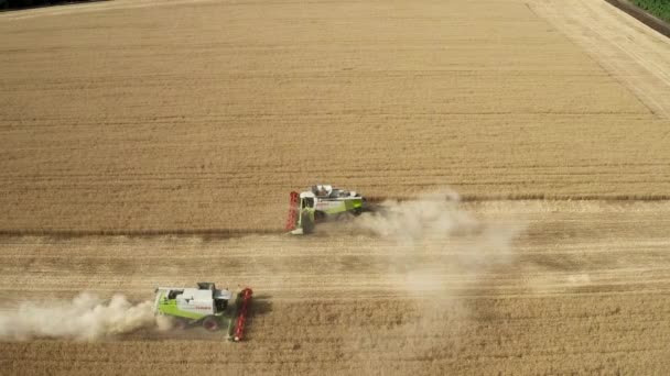 Vista superior aérea de la cosechadora que trabaja en el campo de trigo — Vídeos de Stock