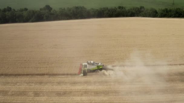 Vista superior aérea de la cosechadora que trabaja en el campo de trigo — Vídeos de Stock