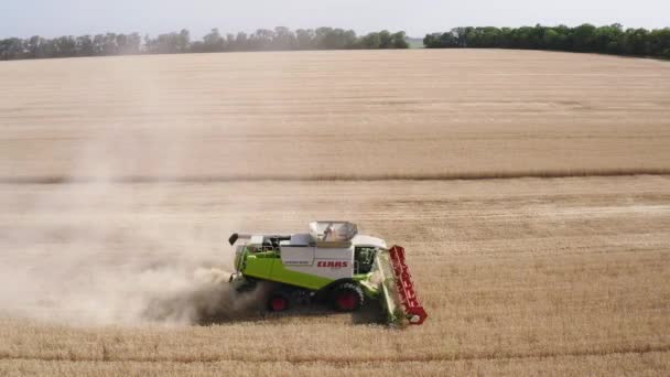 Vista superior aérea de la cosechadora que trabaja en el campo de trigo — Vídeos de Stock