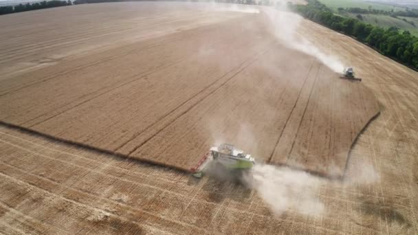 Aerial top view of combine harvester working on wheat field — Stock Video
