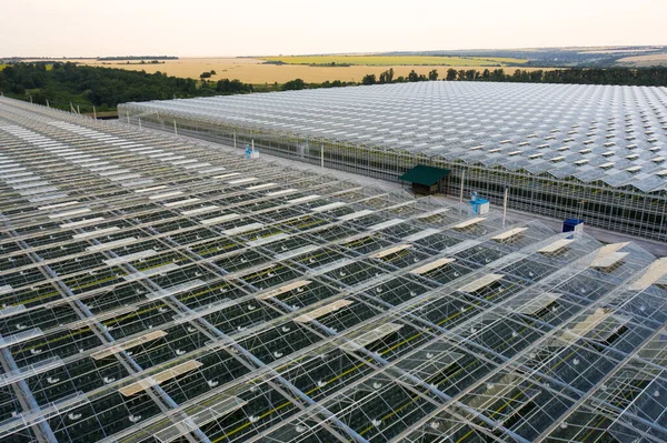 Aerial top view of greenhouse plant — Stock Photo, Image